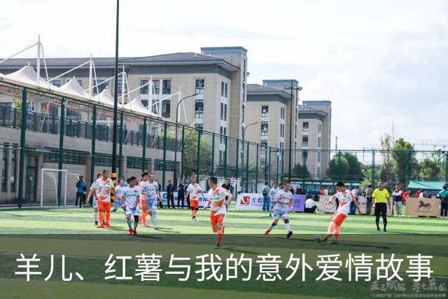 羊儿、红薯与我的意外爱情故事