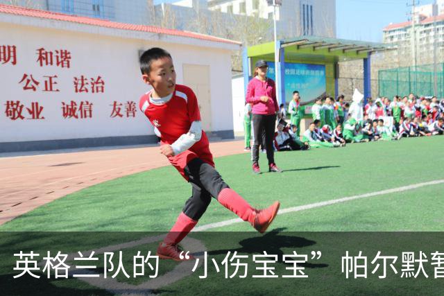 英格兰队的“小伤宝宝”帕尔默暂时告别