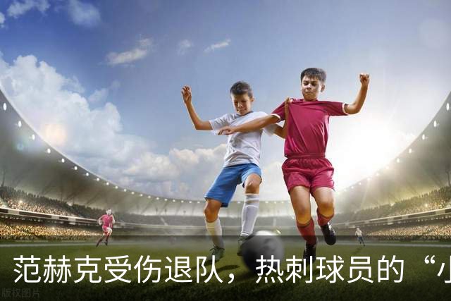 范赫克受伤退队，热刺球员的“小插曲